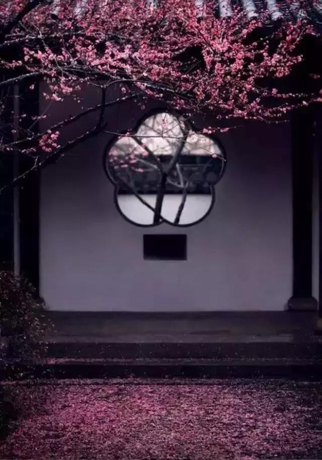 這樣的院子，只有中國人駕馭得了它！