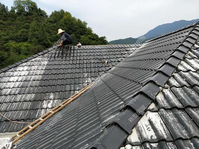 30元一平的樹脂瓦省錢又耐用？網友：吃飽沒事干，用一年就得換